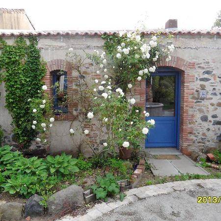 Maison De Charme A Mouzillon - Jardin Et Terrasse Accueillante Zewnętrze zdjęcie