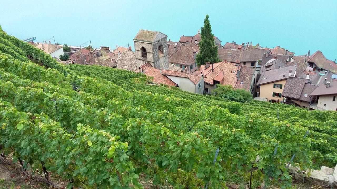 Maison De Charme A Mouzillon - Jardin Et Terrasse Accueillante Zewnętrze zdjęcie